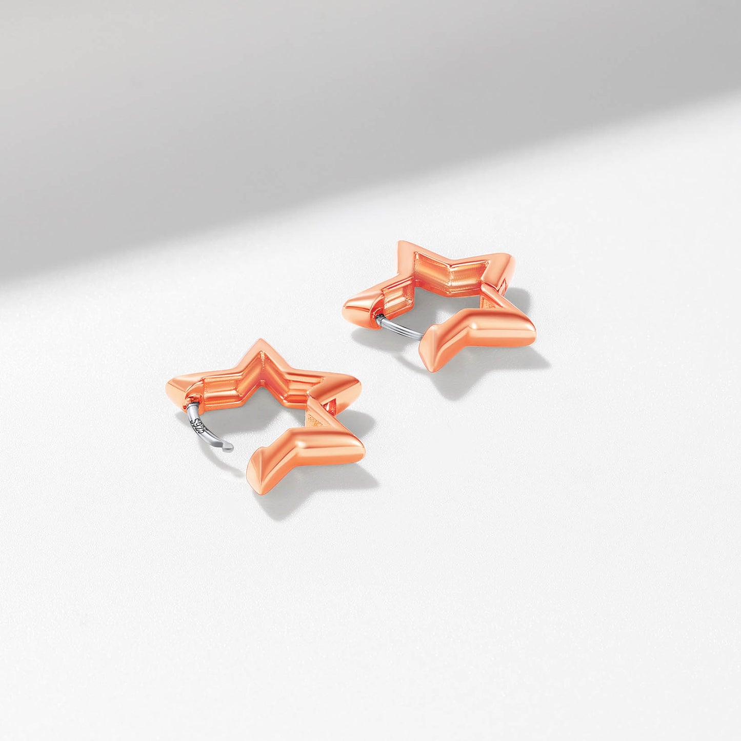 Richsteel Star Hoop Earrings